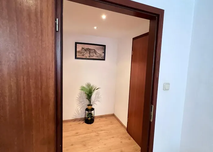 Cozy Flat Near Maastricht Heerlen Aachen Appartement